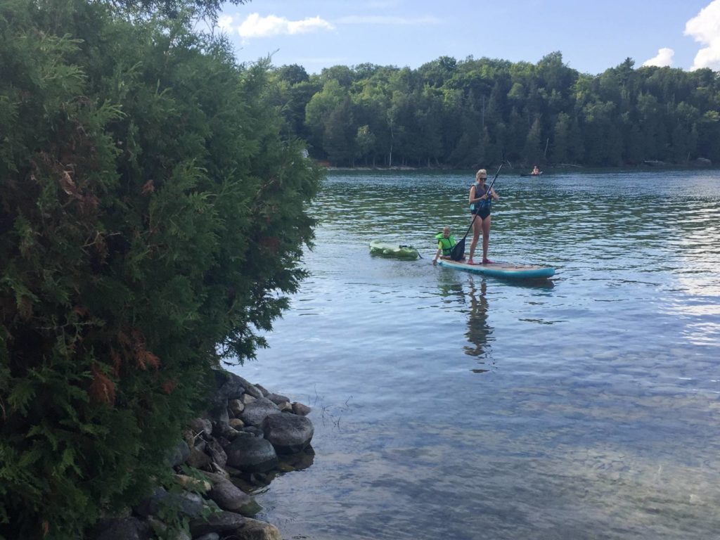 paddleboard